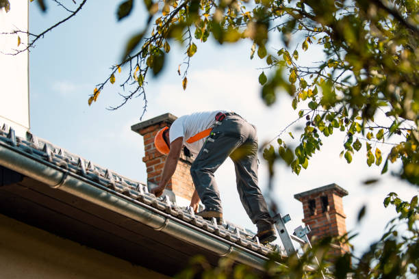 Best Metal Roofing Contractor  in Calcutta, OH