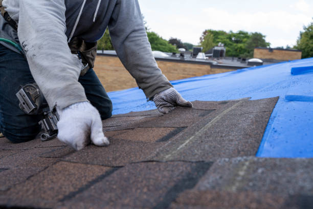 Best Affordable Roofing Company  in Calcutta, OH