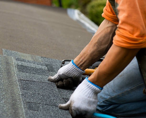 Best Roofing Contractor Near Me  in Calcutta, OH