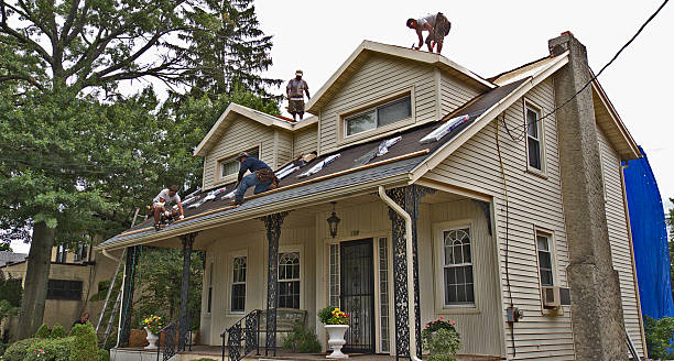 Best Roof Waterproofing Services  in Calcutta, OH
